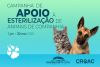 Campanha de Apoio à Esterilização de Animais de Companhia 2025