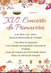 XVI Concerto da primavera